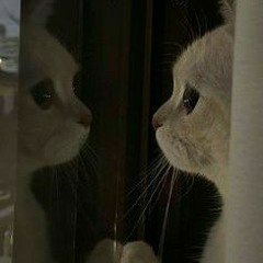 Bektor Petrovic - Hze hoino n