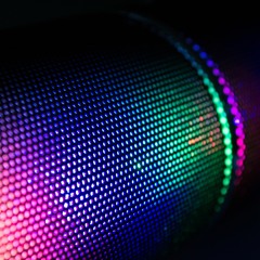 BASSFLOR - WOBBLE TO THIS