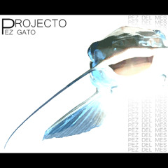PROJECTO PEZ GATO