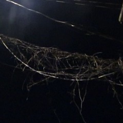 down hill [not done]