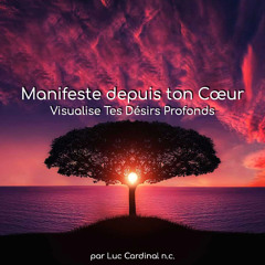 Manifeste depuis ton Coeur | Visualise tes Désirs Profonds