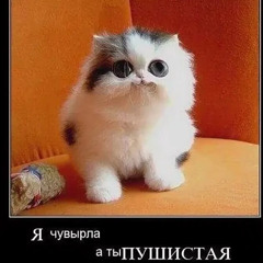 перший дзоник бля перезалив