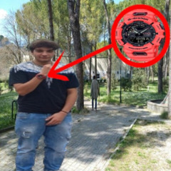 dov'è sparito fichino?