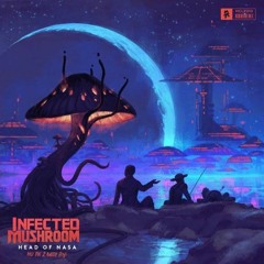 Infected Mushroom - Head of NASA