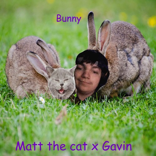 Bunny ft. Gavin