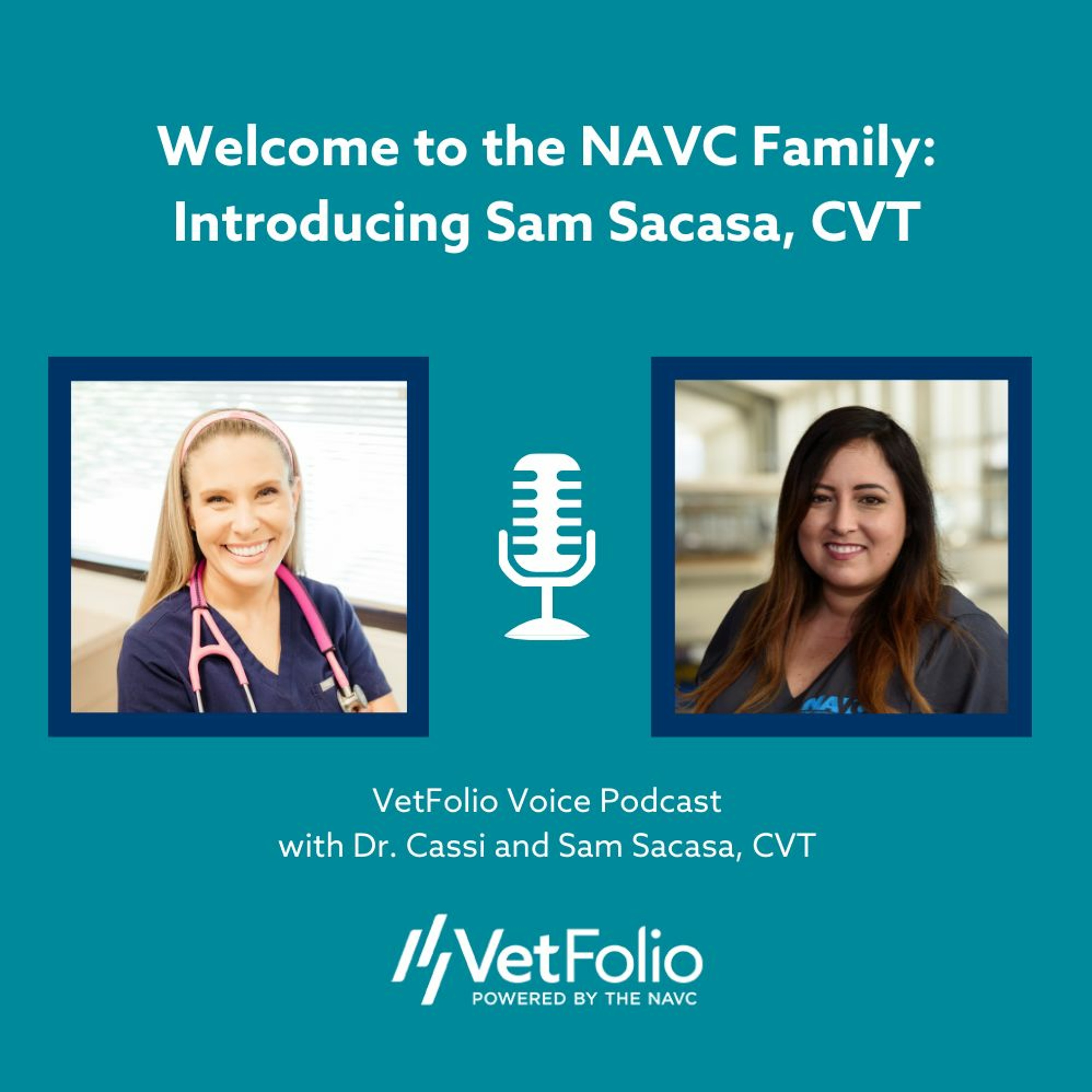 VetFolio Voice