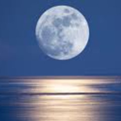 The big trip prod. boyfifty