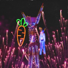 Live @ Carrot Tribe [Daytime House] // Burning Man 2024