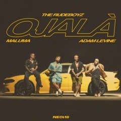 The Rudeboyz Ft Maluma, Adam Levine - Ojala