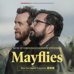 Mayflies (from the BBC Programme)