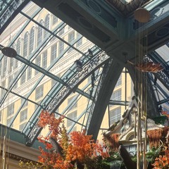 mAyEkEyE - Breathing