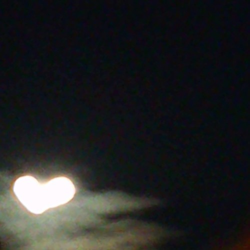 lighttheback_055158.wav