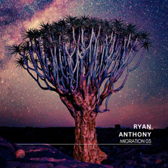 Migration Mix - 03