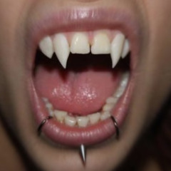 fangzzz