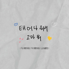 SEVENTEEN (세븐틴)태어나줘서 고마워(HAPPY BIRTHDAY)