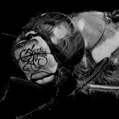 SYLR - RE: ISDED [Set up Rezonant Sage, Parrotice and Malbis]