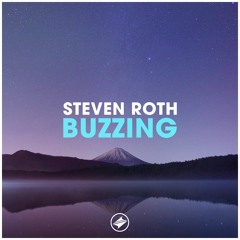 Steven Roth - Buzzing [Summer Sounds Release]