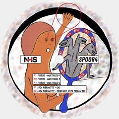 Out Now ♠️ A1. Fidelio - Multipass-1 [SPOOR4]