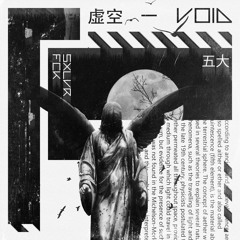 VOID w/ Sxlvr