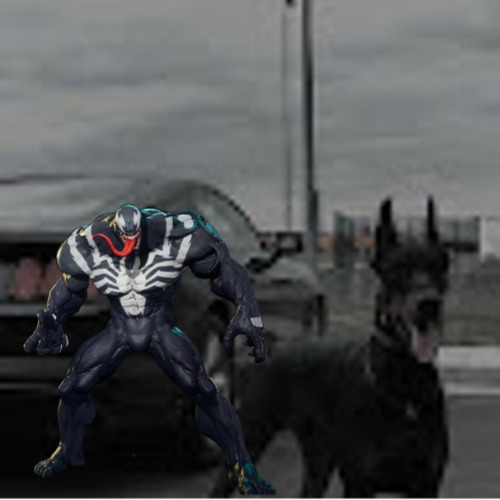 VENOM