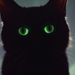 Cat's things.