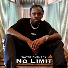 Wayne Flenory - No Limit (Loop TikTok version)