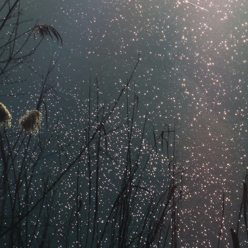 Night Fragments 4.3