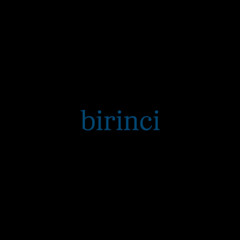 Birinci 4.0