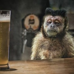 Drunk Ass Monkey