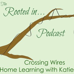 S3E4 Crossing Wires: Home Learning with Katie Elam