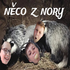 NĚCO Z NORY