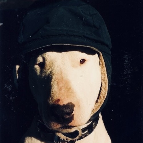 The Dargs