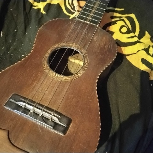 ukulele et plusieurs instrument 2