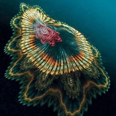 DJ Hypnoid - Speaker Rules mix (Tribute to Vilchezz)