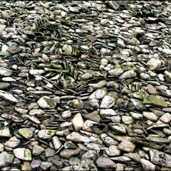 Skipping Rocks Slaying Dragons