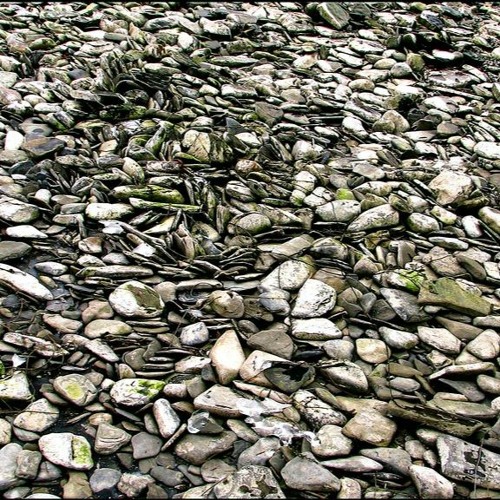 Skipping Rocks Slaying Dragons