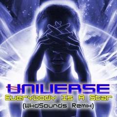 Universe - Everybody Is A Star (WkdSounds Remix)