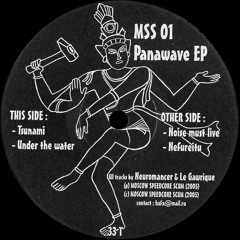 Neuromancer & Le Gawrique - Under The Water