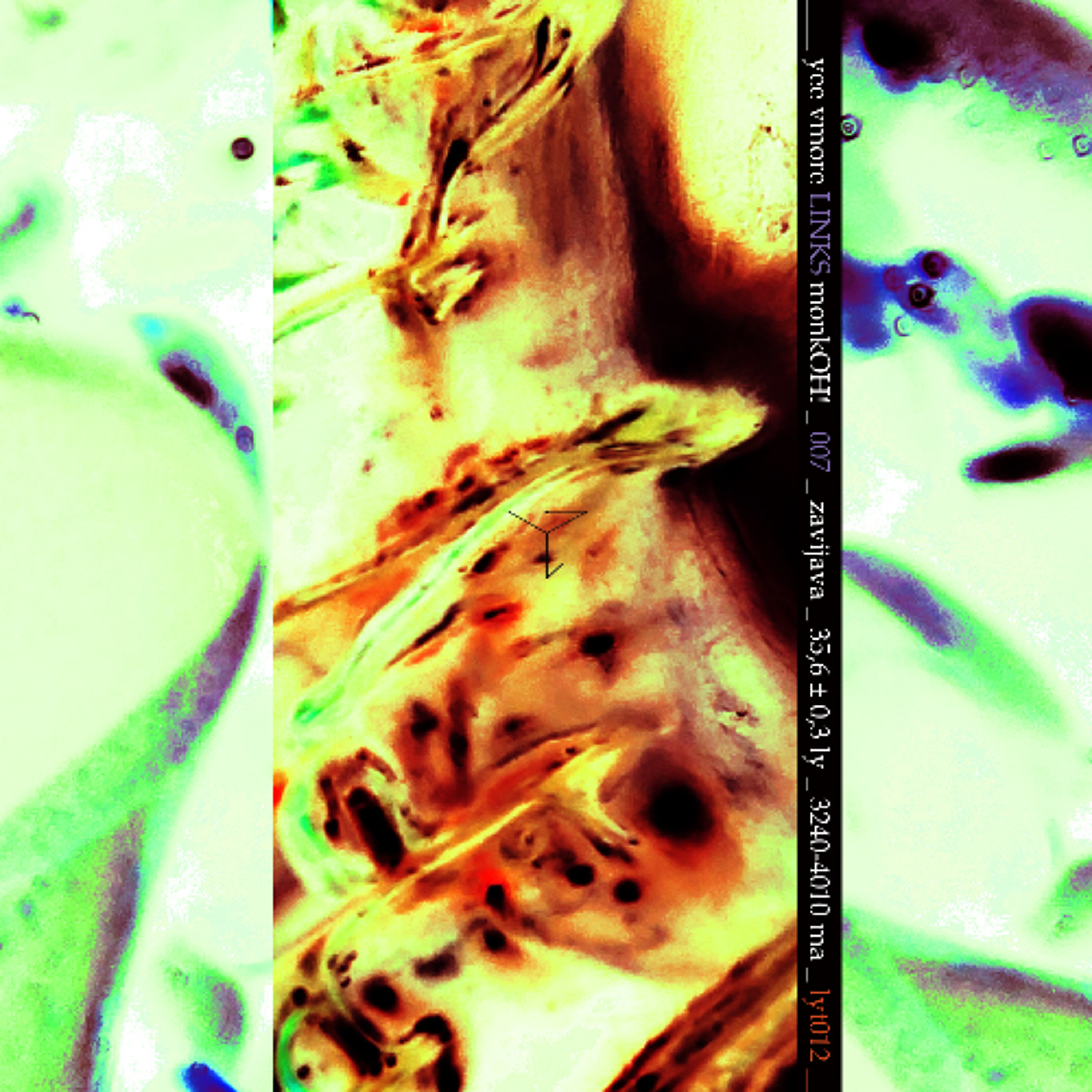 Portada de lxsyeyestribe