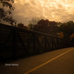 [Tread Lightly] - Adult Swim Bump