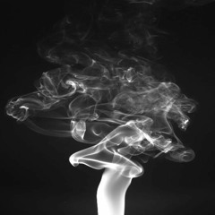 Trapdreams And Pipemares