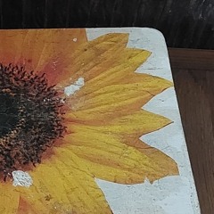 Concert du 4 février 2024 dans les toilettes du bal de l'AÉRI - extrait 1