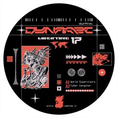 A2 - Cyber Gangster