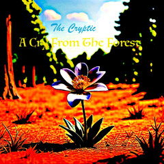 A Cry From The Forest