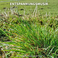 Schwelgende Offenbarung