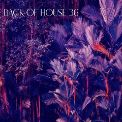 Back Of House Vol.36