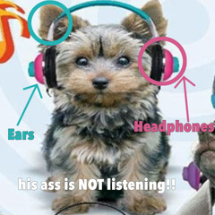 earbleed wifiskeleton mixx