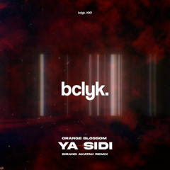 Orange Blossom - Ya Sidi (Birand Akatak Remix)