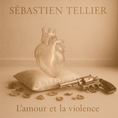 Sebastien Tellier- L'Amour et la Violence _ EGNOX REMIX