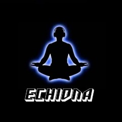ECHIDNA  - Audio Assassins' Creed